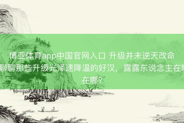 博亚体育app中国官网入口 升级并未逆天改命，聊聊那些升级光泽速降温的好汉，露露东说念主在哪？