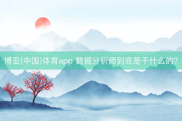 博亚(中国)体育app 数据分析师到底是干什么的？