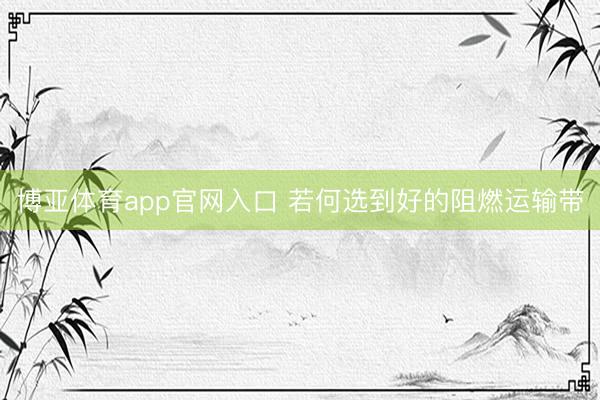 博亚体育app官网入口 若何选到好的阻燃运输带