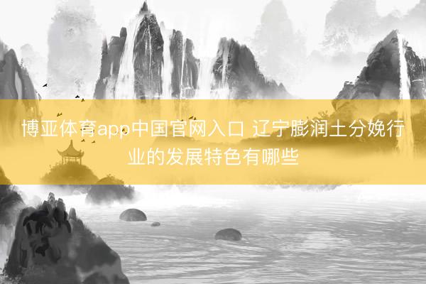 博亚体育app中国官网入口 辽宁膨润土分娩行业的发展特色有哪些