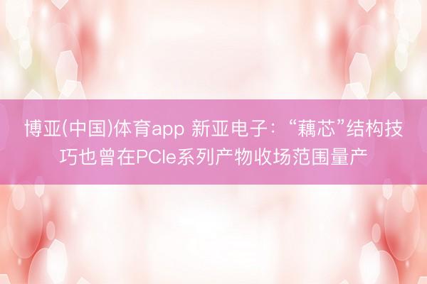 博亚(中国)体育app 新亚电子：“藕芯”结构技巧也曾在PCIe系列产物收场范围量产