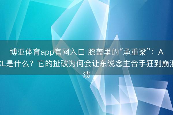 博亚体育app官网入口 膝盖里的“承重梁”：ACL是什么？它的扯破为何会让东说念主合手狂到崩溃