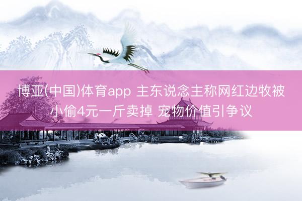 博亚(中国)体育app 主东说念主称网红边牧被小偷4元一斤卖掉 宠物价值引争议